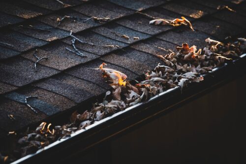 Berkeley, CA – Can Gutter Cleaning Prevent Water Damage to Your Home Now?